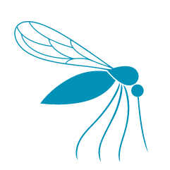 Mosquito Exterminator Services